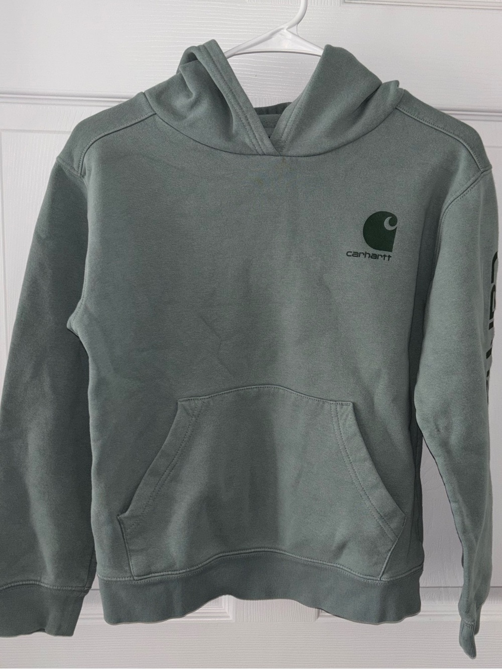 Carhartt Youth Green Logo Hoodie Sweatshirt Kids Sz M 10-12